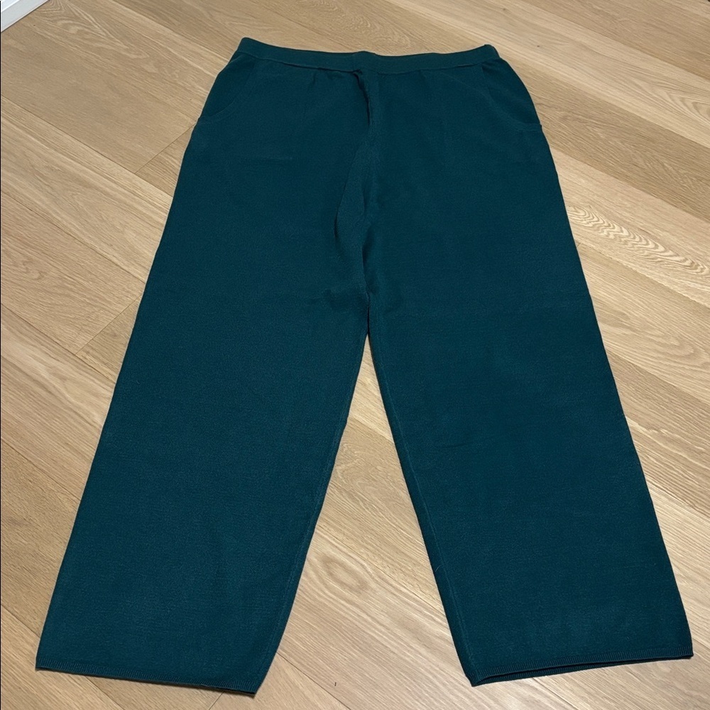 WYNNE LAYERS (1X) Sweater Knit Wide-Leg Pants Pockets Pull-On Soft Dark Teal NEW - Picture 4 of 12